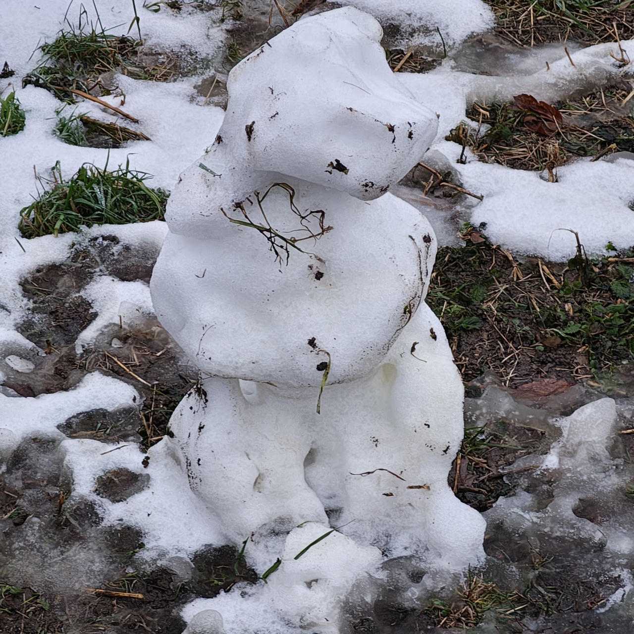 A photo of a distorted, melting snow-puppy